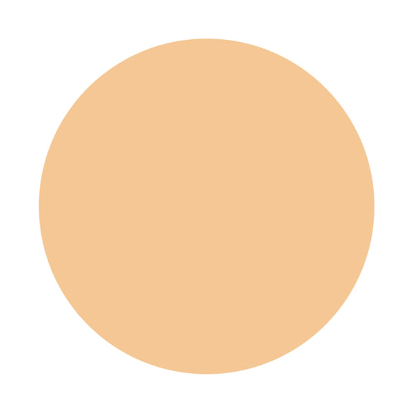 KISSME FERME Stick Concealer EX SPF34 PA++ (02 Natural)