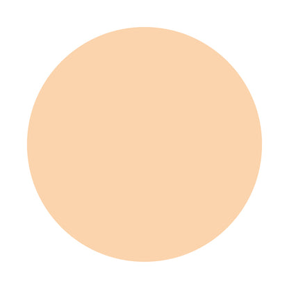 KISSME FERME Stick Concealer EX SPF34 PA++ (01 Light)