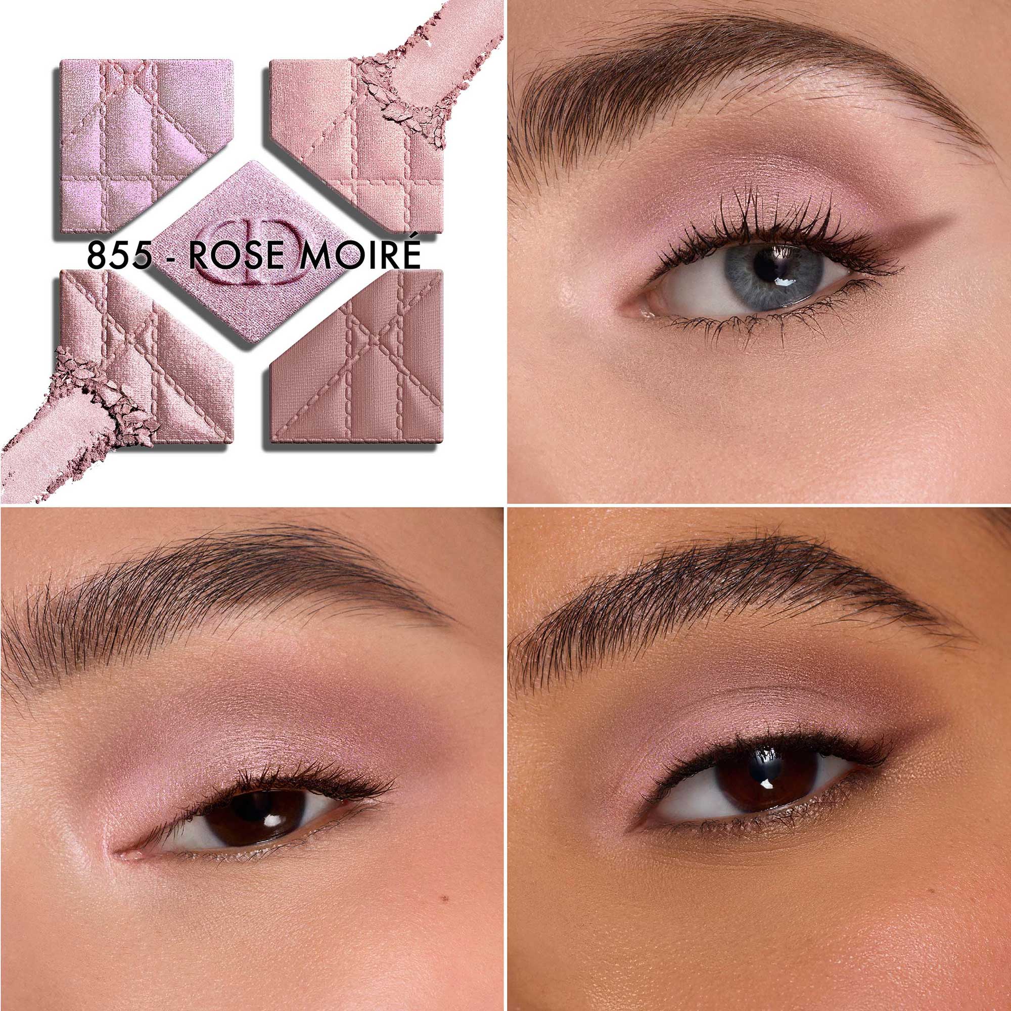 Dior Diorshow 5 Couleurs (855 Rose Moiré Limited Edition) – suzykirei