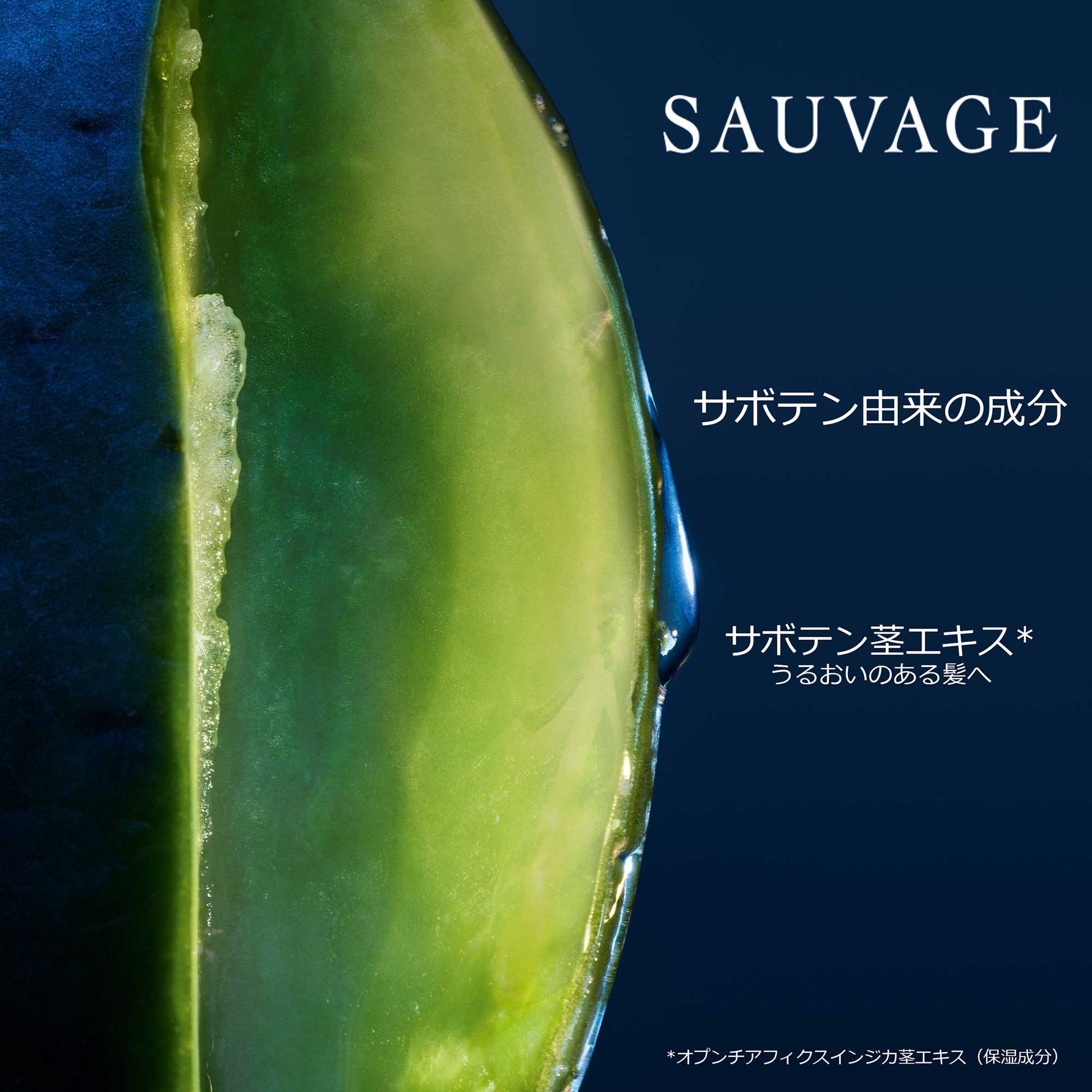 Dior Sauvage Shampoo, 250ml