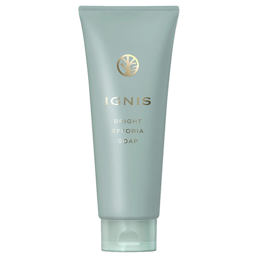 IGNIS Bright Efforia Soap, 100g (Herbal Fresh)