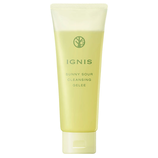 IGNIS Sunny Sour Cleansing Gel, 150g (Bitter Fresh Citrus)
