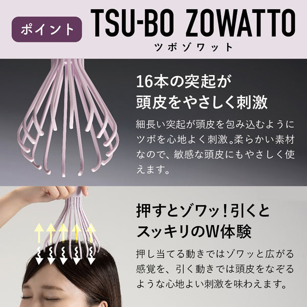 AKAISHI Tsubo Zowat (Purple)