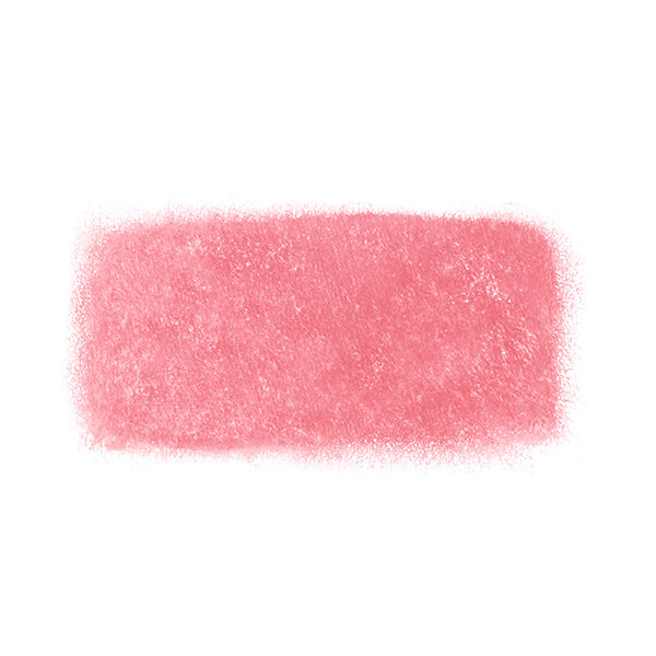 too cool for school Artclass Velour Pencil (#2 BALLET SHOES)