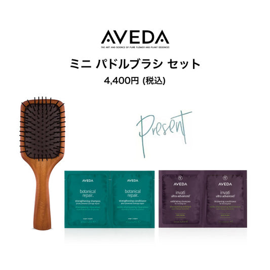 AVEDA Mini Paddle Brush Set