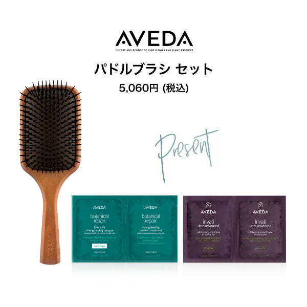 AVEDA Paddle Brush Set