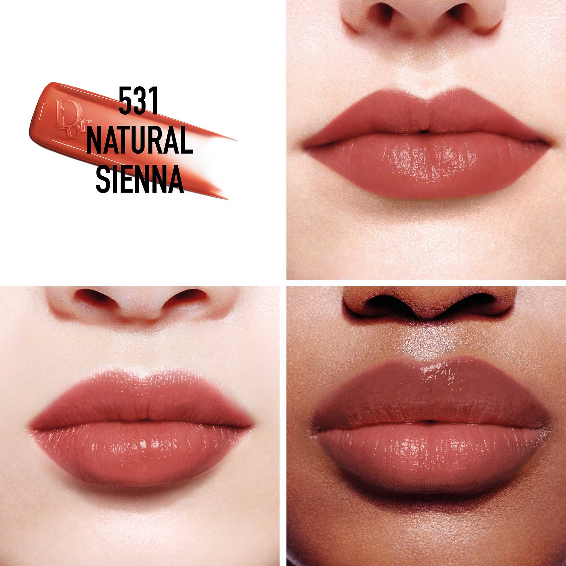 Dior Addict Lip Tint Limited Edition (531 Natural Sienna, Summer Collection 2026)