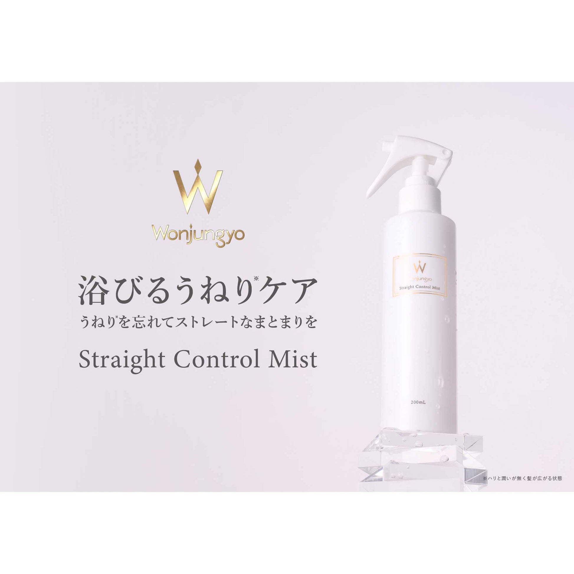Wonjungyo Straight Control Mist, 200ml