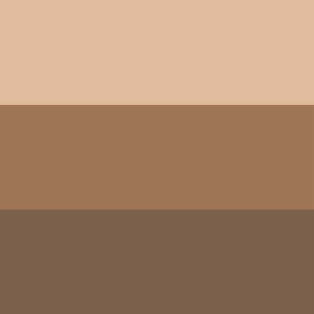ORBIS Blend Eyebrow Compact