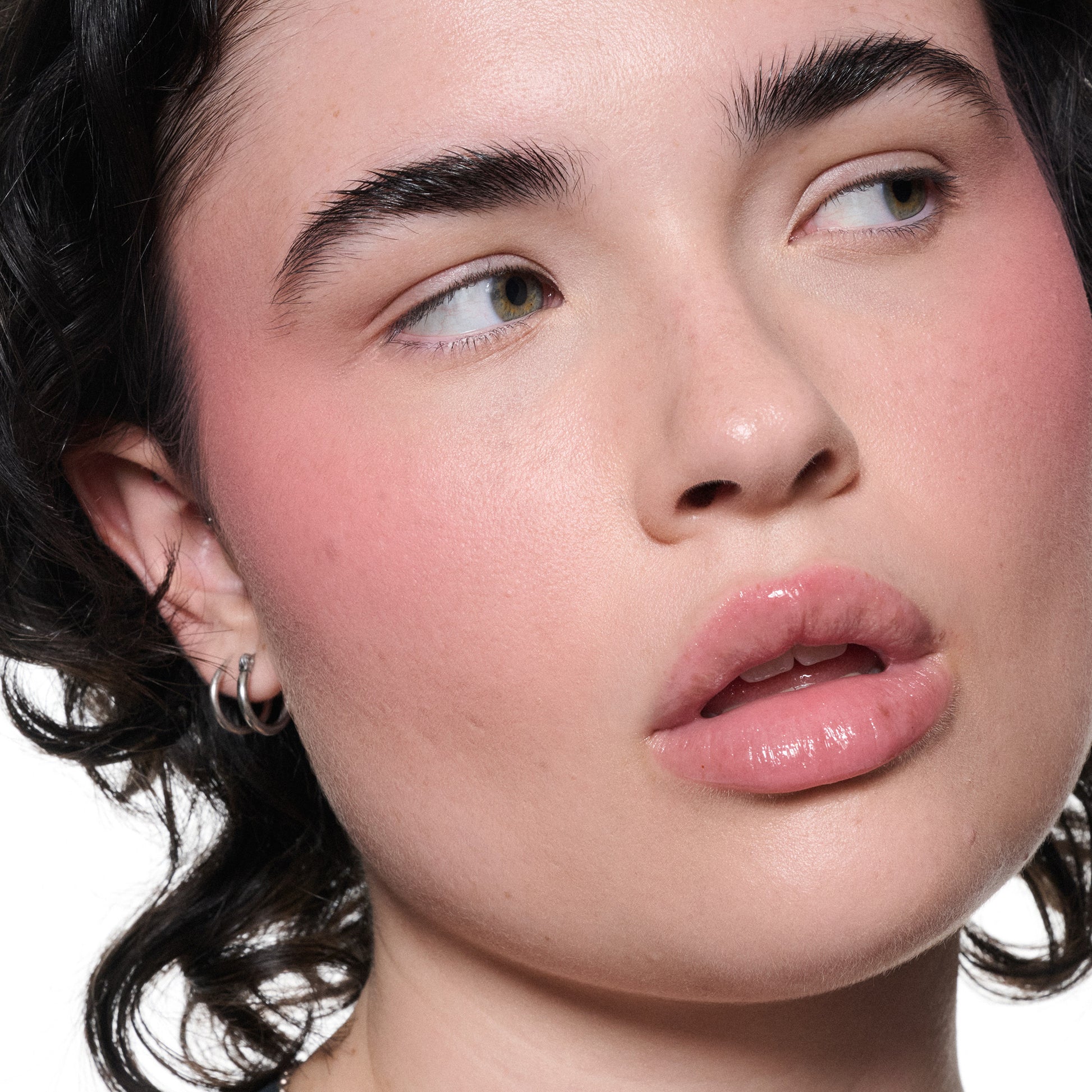 M·A·C Skinfinish Colorstruck Blush (Desert Rose)