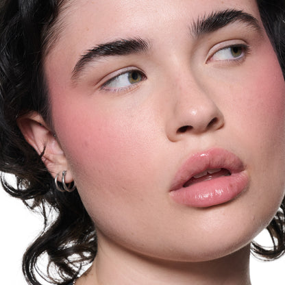 M·A·C Skinfinish Colorstruck Blush (Desert Rose)