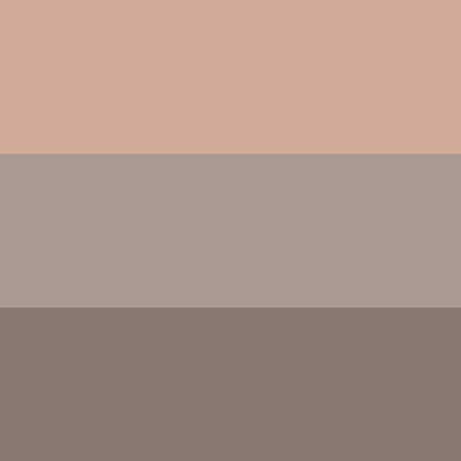 ORBIS Blend Eyebrow Compact (Charcoal Gray)