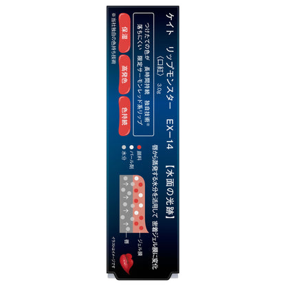 KATE Lip Monster Limited Edition (EX-14 Minamo no Hikouseki)