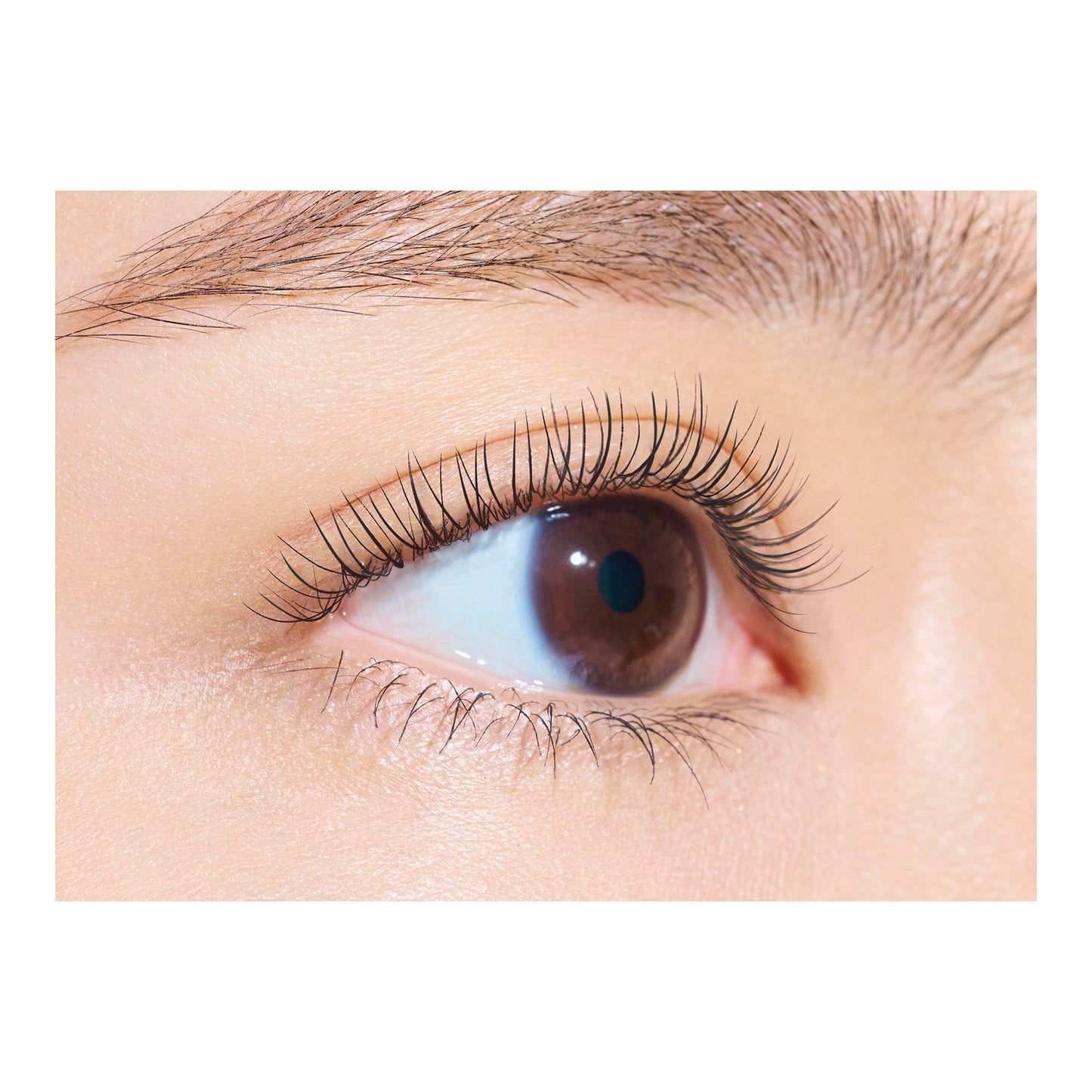 dejavu Curl Keep Base (1 Clear Black)