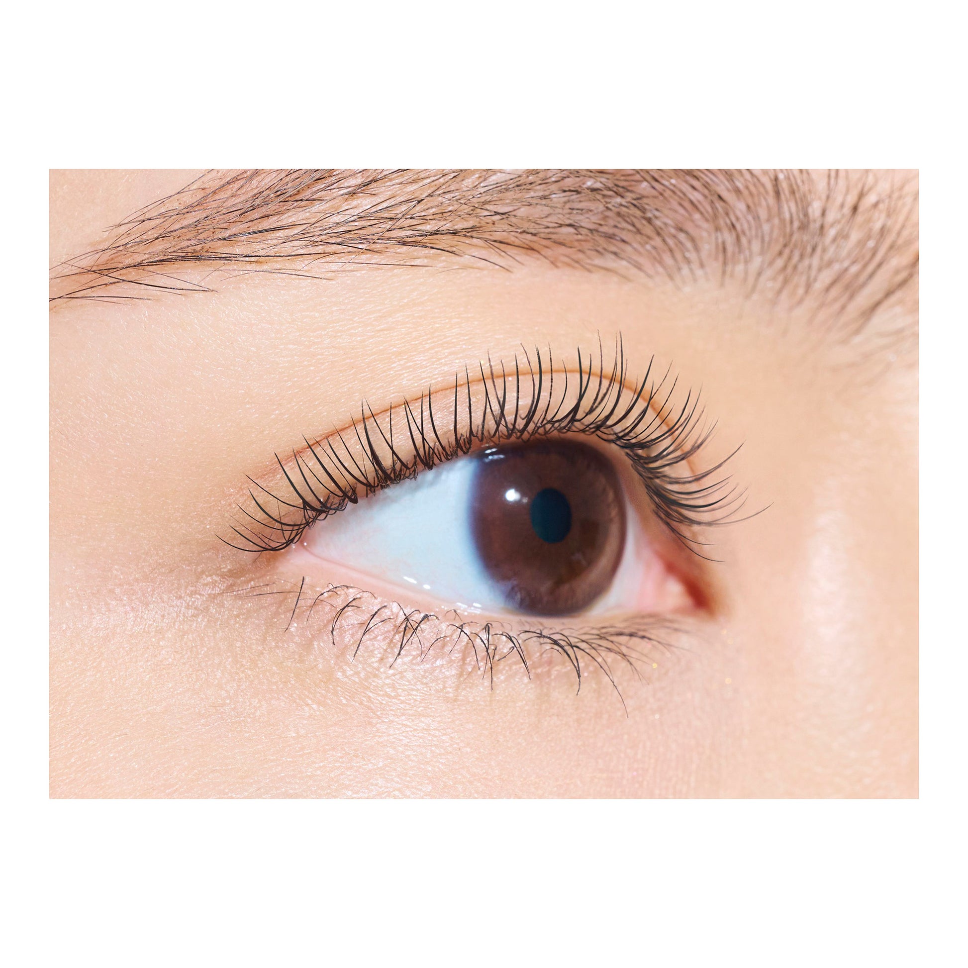dejavu Curl Keep Base (1 Clear Black)