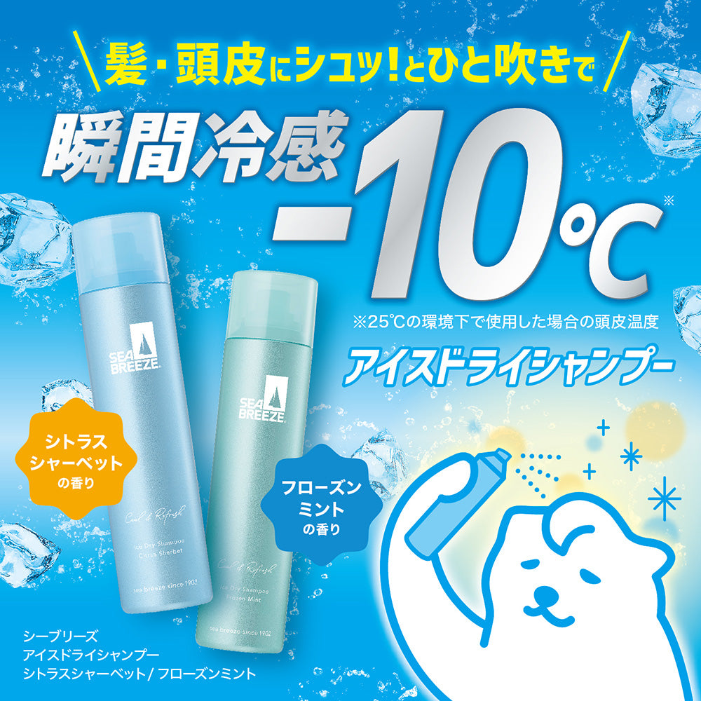 SEA BREEZE Ice Dry Shampoo (Frozen Mint), 95g