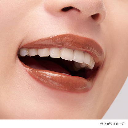 KANEBO Rouge Star Drama (D206 Soul Brown)
