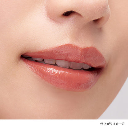 KANEBO Rouge Star Drama (D201 Melodious Beige)