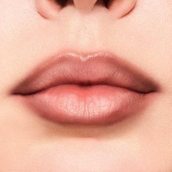 M·A·C Lip Glazer (Chestnut)