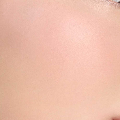 SUQQU Blurring Color Blush (10 SUMIKAZARI)