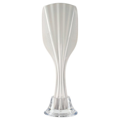 KINUJO Silky Treatment Brush TBK01-WH (Mirror White)