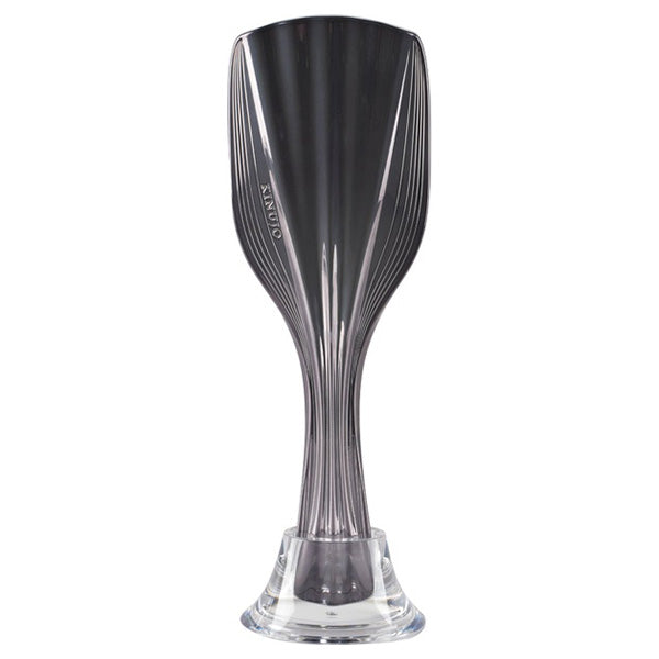 KINUJO Silky Treatment Brush TBK01-BK (Mirror Black)
