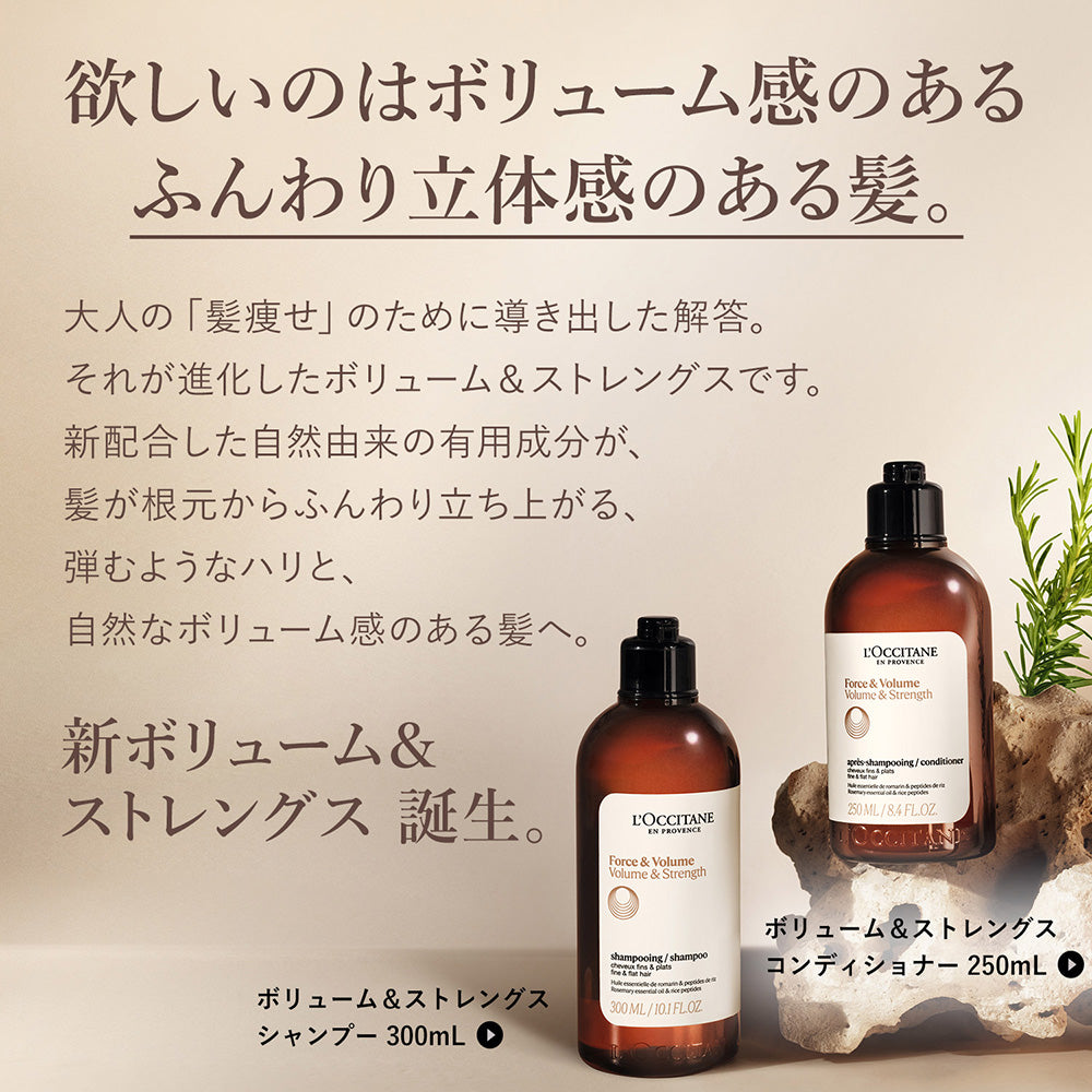 L’OCCITANE Volume & Strength Combo, 500ml