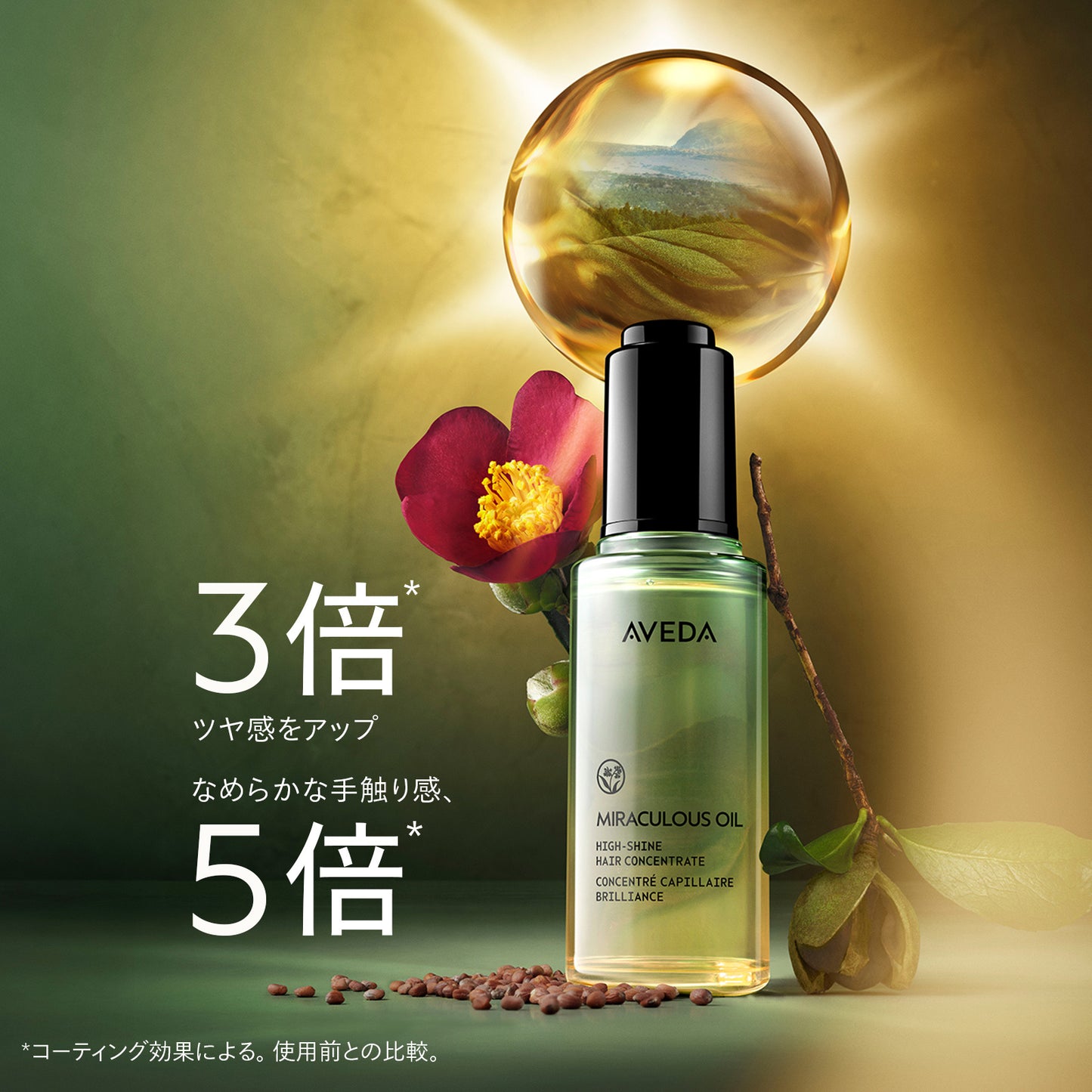 AVEDA Concentrate Shine Oil Set, Limited Edition, 50ml