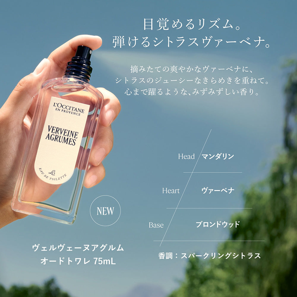 LOCCITANE Citrus Verbena Perfumed Body Milk, 250ml