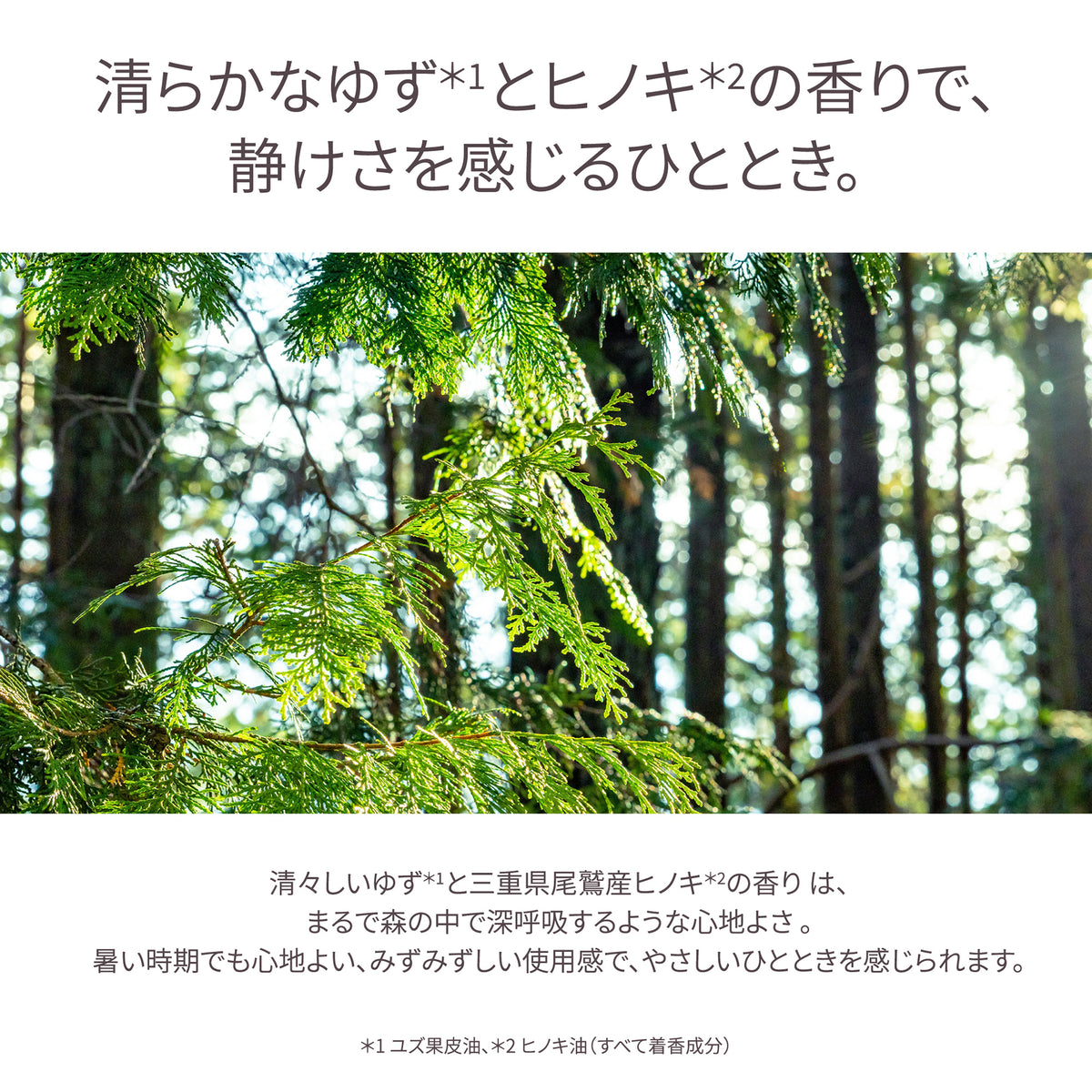 STEAMCREAM Steam Cream (Hinoki & Sake), 75g (Refreshing Hinoki Scent)