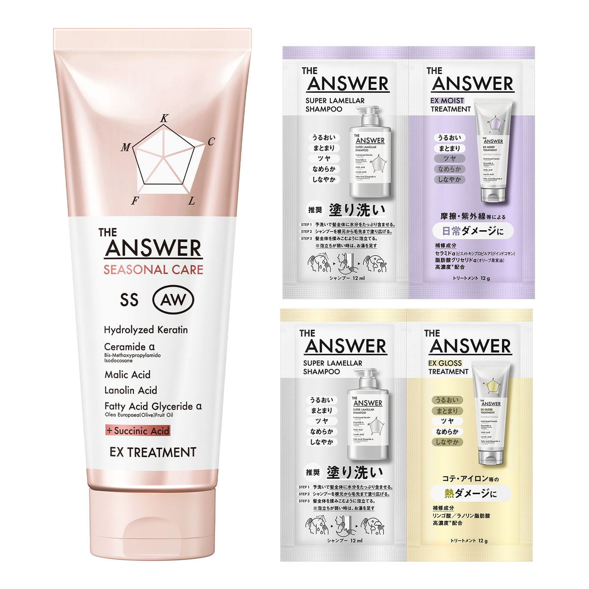 THE ANSWER Seasonal Care AW EX Treatment Set, 220g, 12ml, 12g, 12ml, 12g