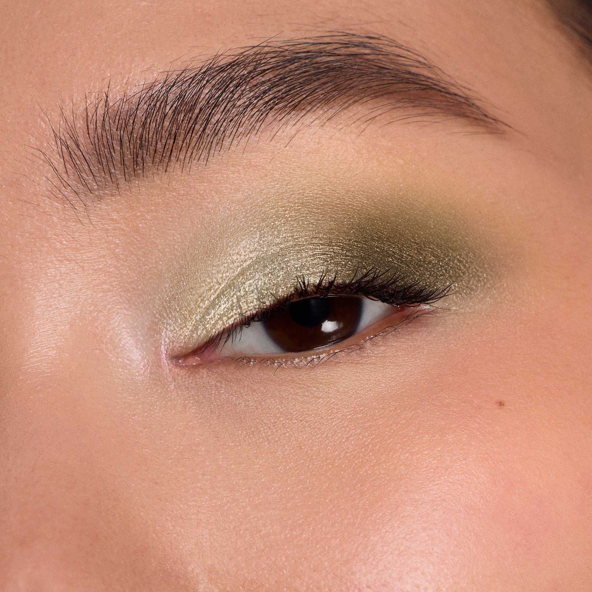 Dior Diorshow 5 Couleurs, Limited Edition (365 Charmed Green, Fall Collection 2026 Limited Edition)