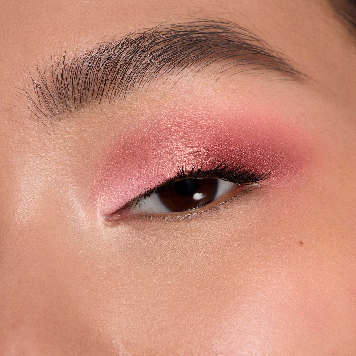 Dior Diorshow 5 Couleurs, Limited Edition (883 Lucky Rosewood, Fall Collection 2026 Limited Edition)