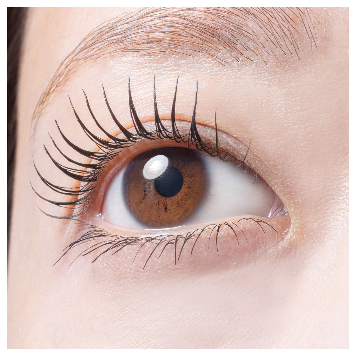 pdc Pimel Glossy Lengthening Mascara