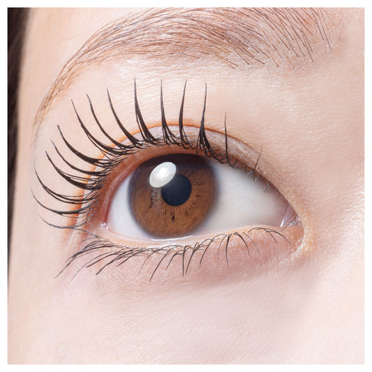 pdc Pimel Glossy Lengthening Mascara