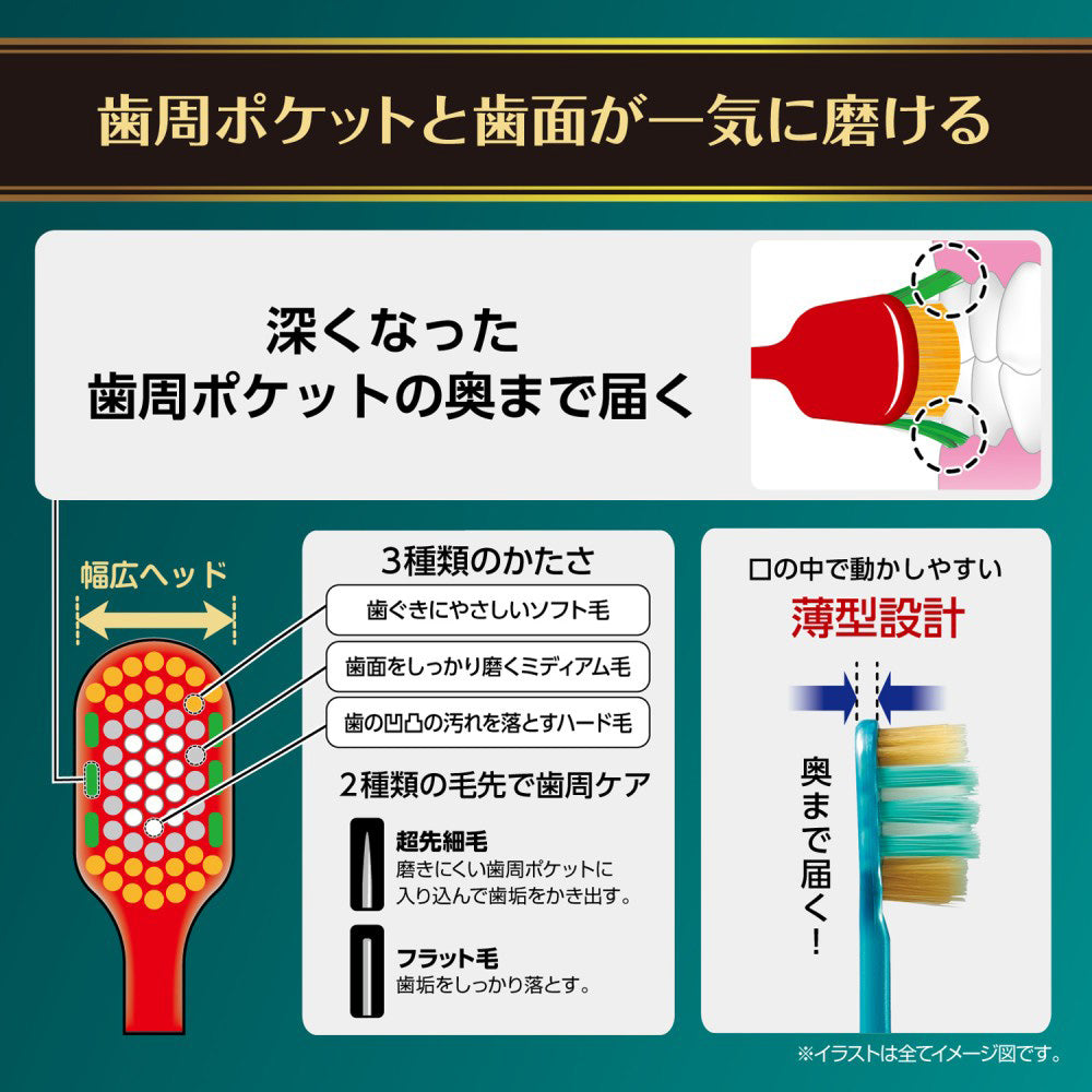 EBIS The Premium Care Periodontal Pocket Plus Regular