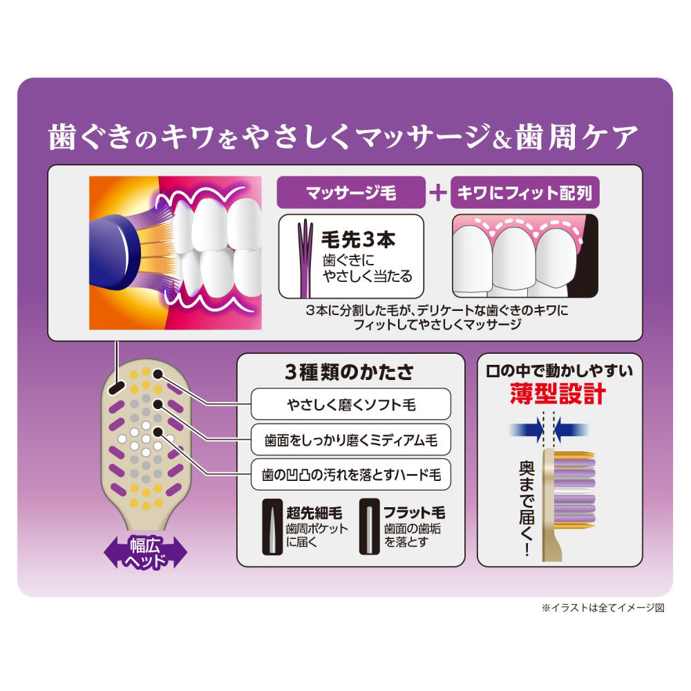 EBIS The Premium Care Gum Massage Plus Regular