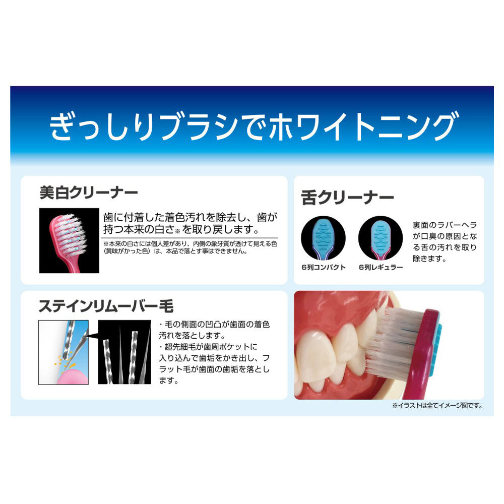 EBIS Premium Care Tooth Whitening 6-Row Regular