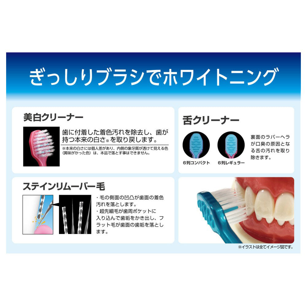 EBIS Premium Care Tooth Whitening 6-Row Compact Regular