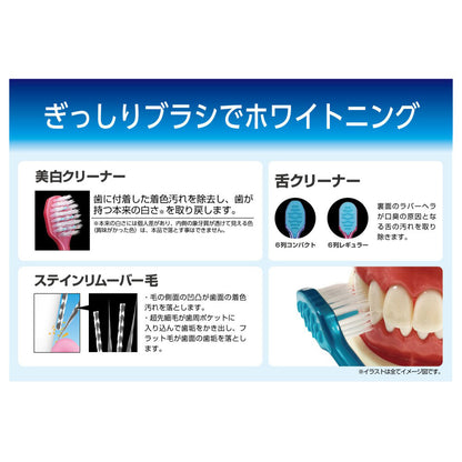 EBIS Premium Care Tooth Whitening 6-Row Compact Regular