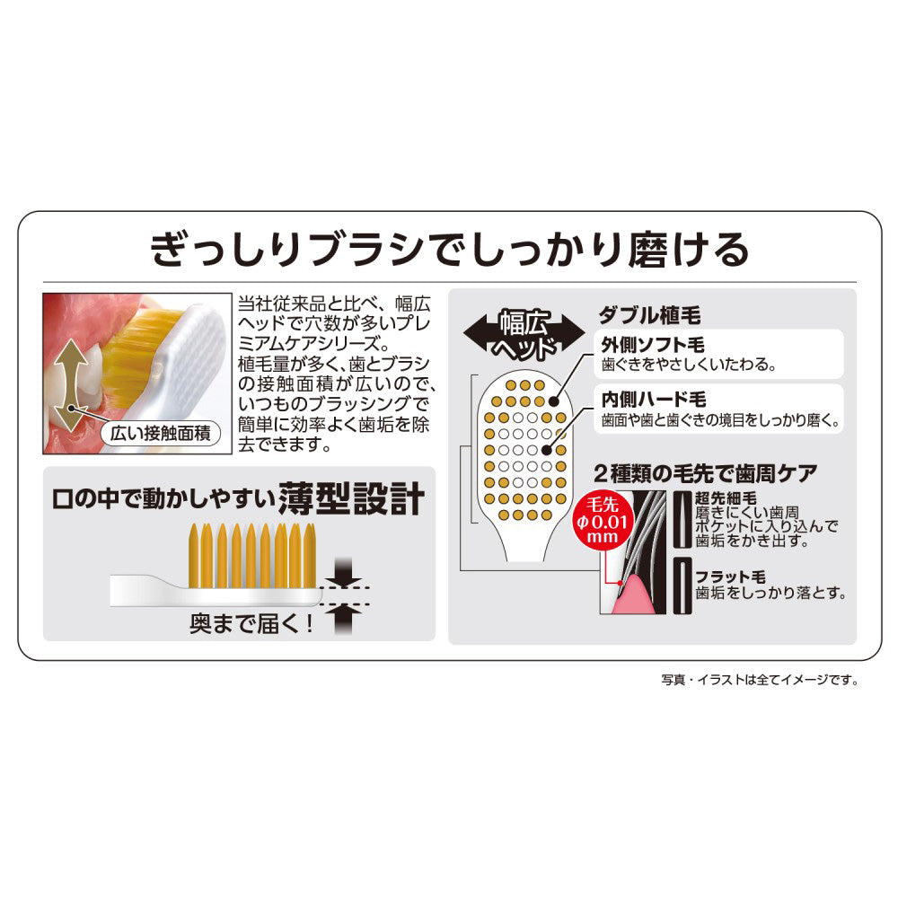 EBIS Premium Care 6-Row Regular Hard