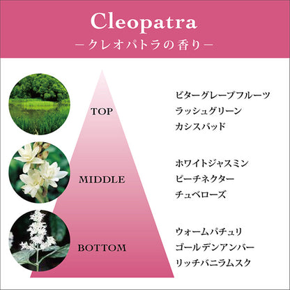 TOCCA Hand & Body Lotion CG, 354ml (Cleopatra Scent)