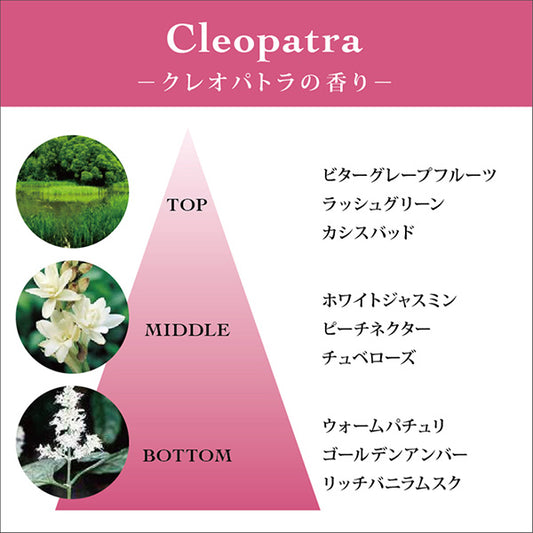 TOCCA Hand & Body Wash CG, 354ml (Cleopatra Scent)