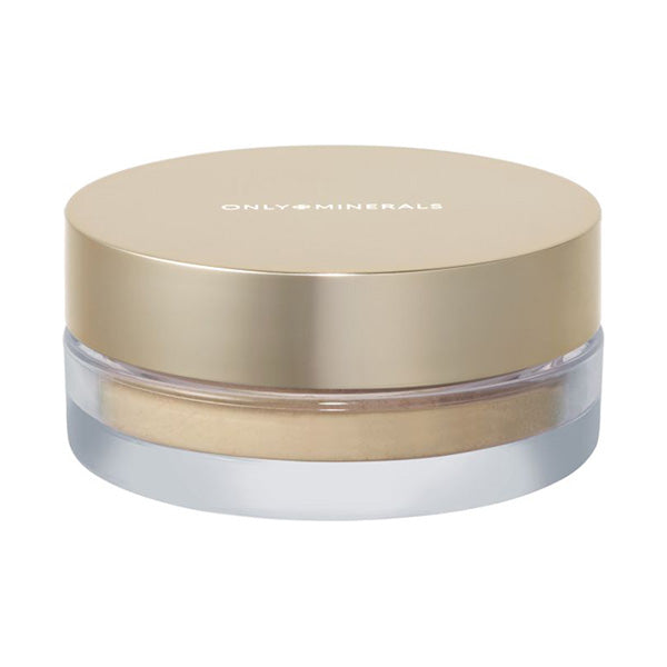 ONLY MINERALS Premium Foundation N Moist & Foundation Brush Set SPF40 Limited Edition (Ochre)