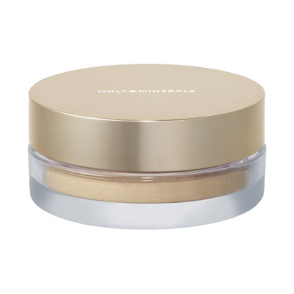 ONLY MINERALS Premium Foundation N Moist & Foundation Brush Set SPF40 Limited Edition (Ochre)