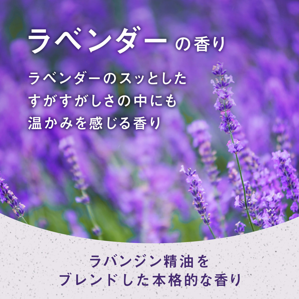 Earth Corporation Me My Bath (Lavender), 240g