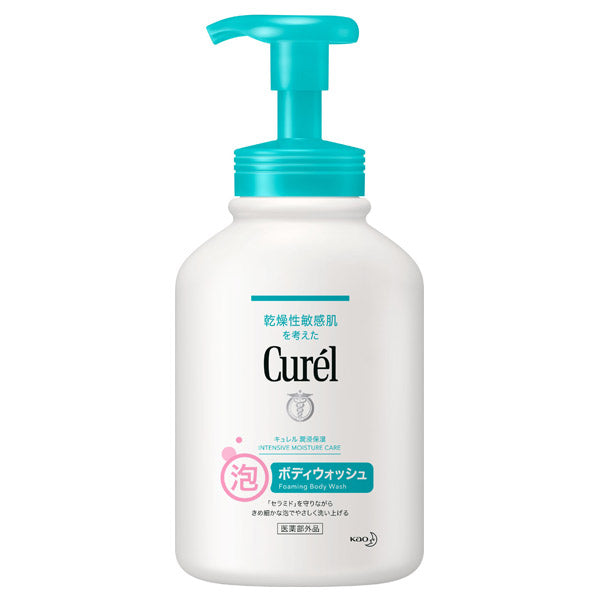 curel Moisturizing Foam Body Wash, Pump, 480ml