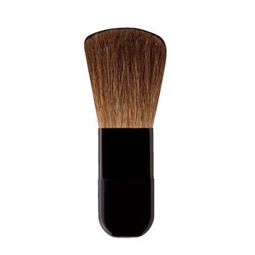 Blush Brush S