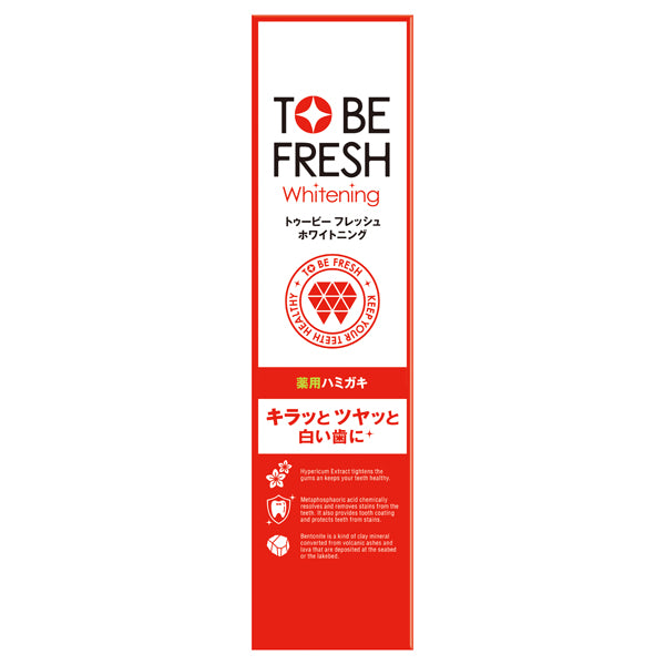 Medicated Dental Paste, 100g