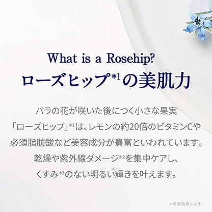 Neal's Yard Remedies Wild Rose Beauty Balm (balm-type beauty serum), 50g